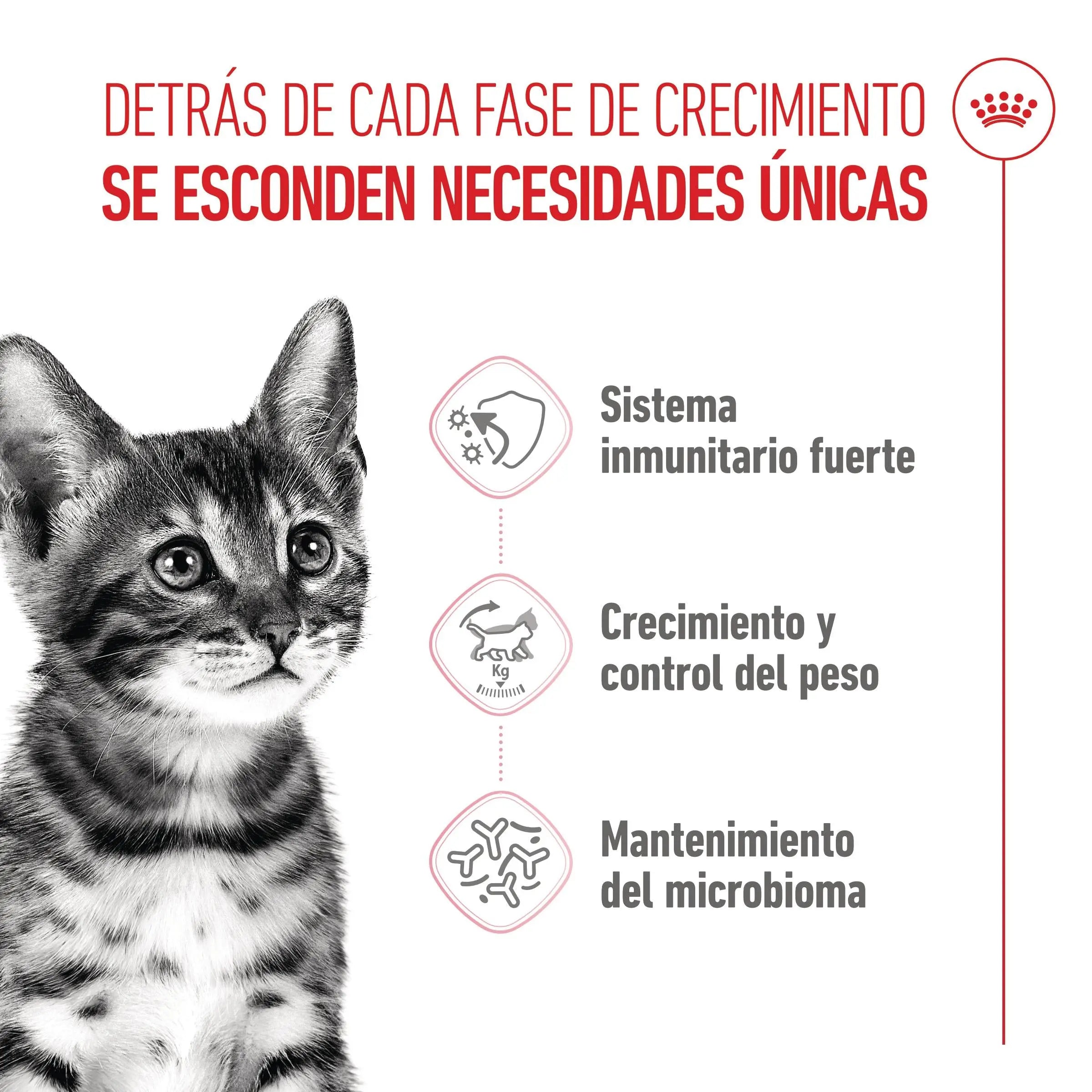 Royal Canin Kitten Sterilized Pienso para Gatitos Esterilizados ROYAL CANIN Mascotas-Ávila