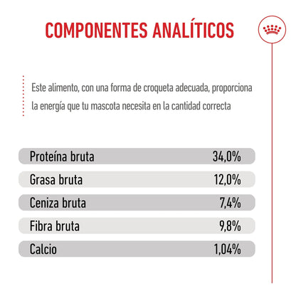 Royal Canin Kitten Sterilized Pienso para Gatitos Esterilizados ROYAL CANIN Mascotas-Ávila