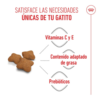 Royal Canin Kitten Sterilized Pienso para Gatitos Esterilizados ROYAL CANIN Mascotas-Ávila
