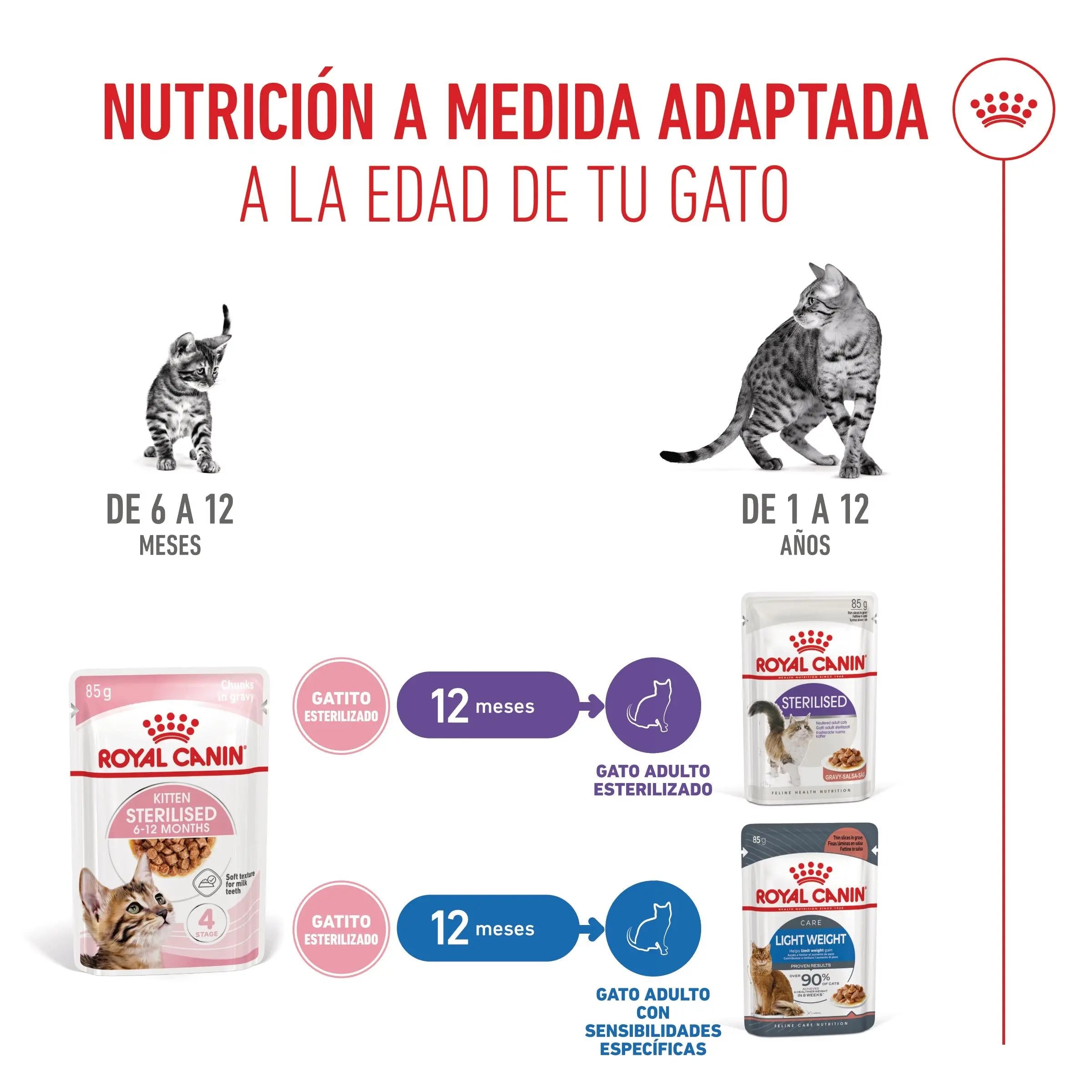 Royal Canin Kitten Sterilized en Salsa 85 g Comida Húmeda para Gatitos ROYAL CANIN Mascotas-Ávila