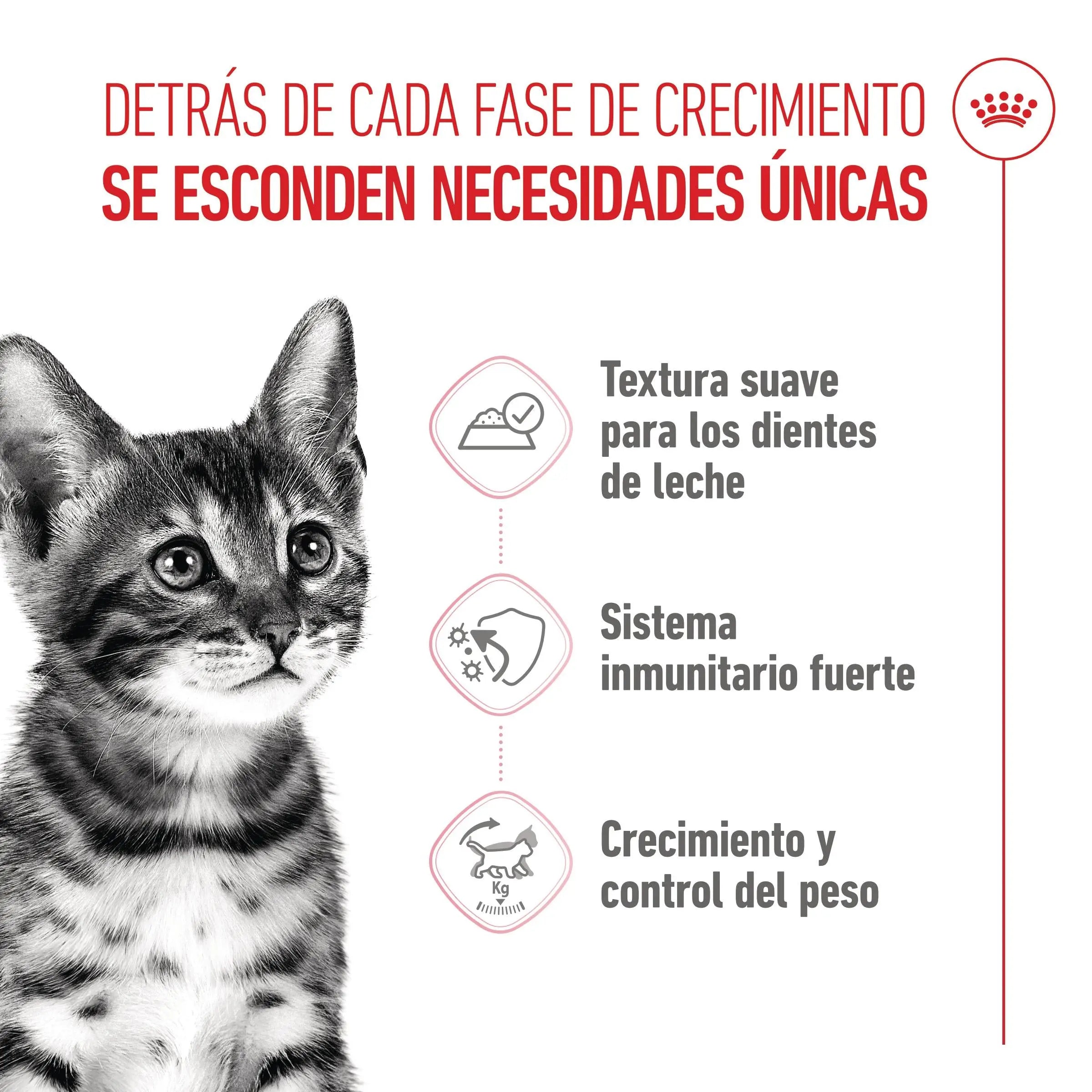 Royal Canin Kitten Sterilized en Salsa 85 g Comida Húmeda para Gatitos ROYAL CANIN Mascotas-Ávila