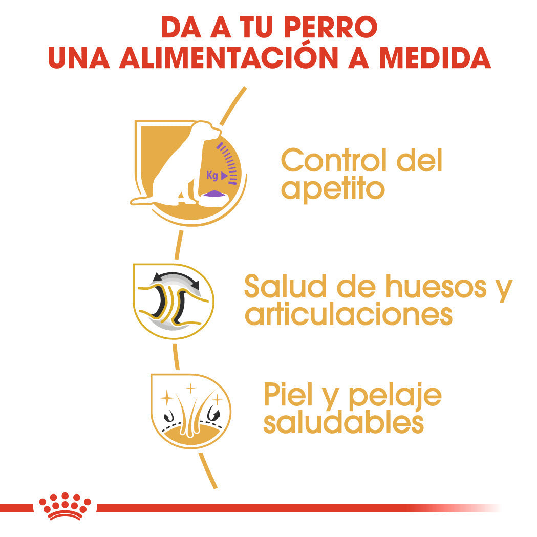 Royal Canin Labrador Adult Sterilized Pienso para Perros Esterilizados de Raza ROYAL CANIN Mascotas-Ávila