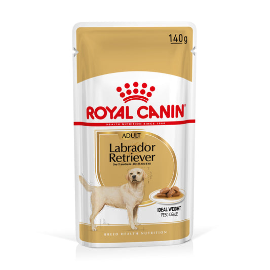 Royal Canin Labrador Paté Adulto 140 g Comida Húmeda para Perros ROYAL CANIN Mascotas-Ávila