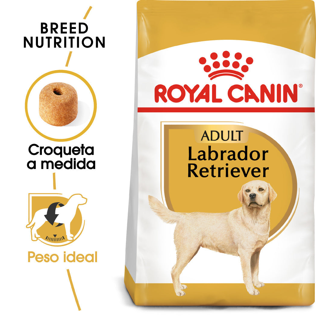 Royal Canin Labrador Pienso para Perros Adultos de Raza ROYAL CANIN Mascotas-Ávila