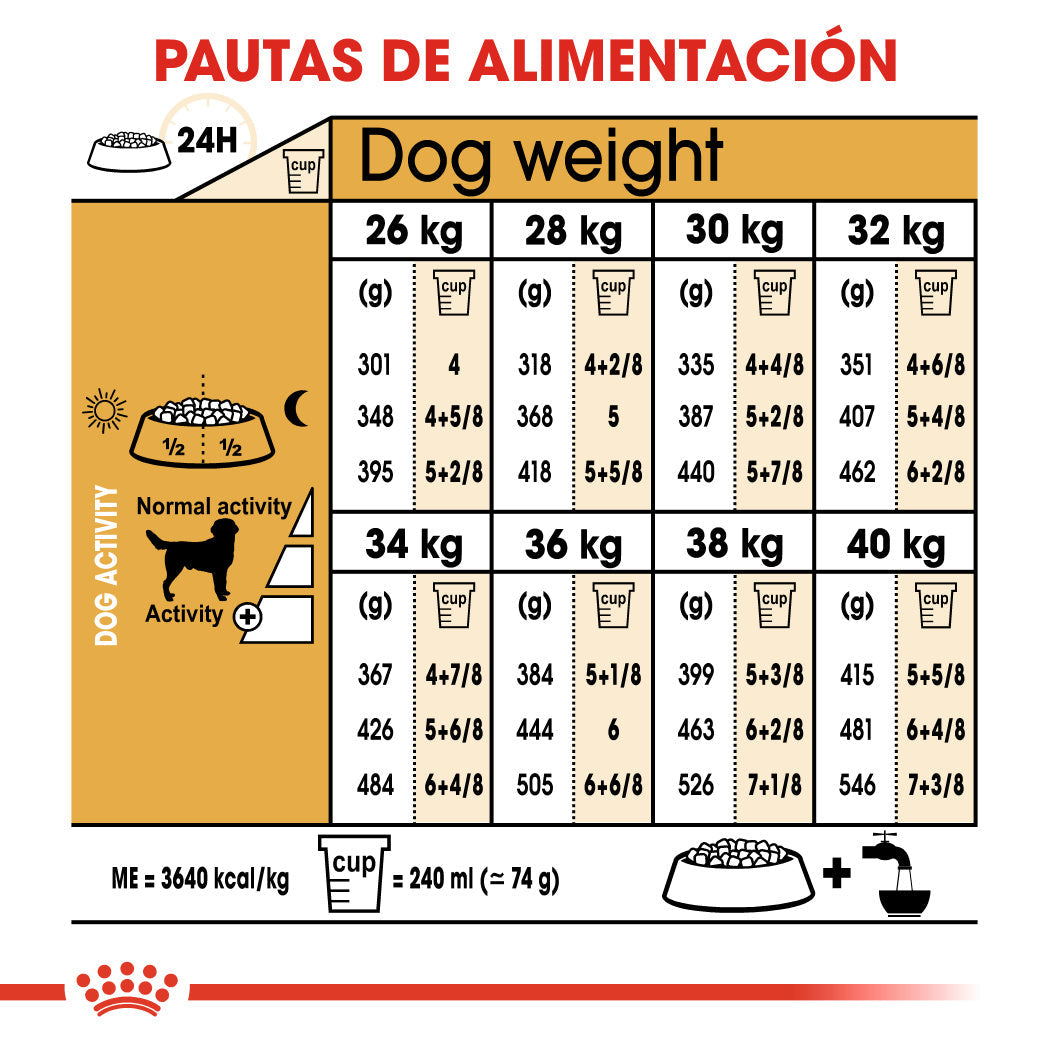 Royal Canin Labrador Pienso para Perros Adultos de Raza ROYAL CANIN Mascotas-Ávila