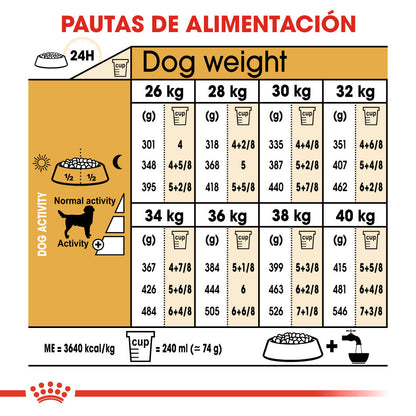 Royal Canin Labrador Pienso para Perros Adultos de Raza ROYAL CANIN Mascotas-Ávila