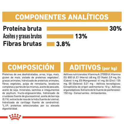 Royal Canin Labrador Pienso para Perros Adultos de Raza ROYAL CANIN Mascotas-Ávila