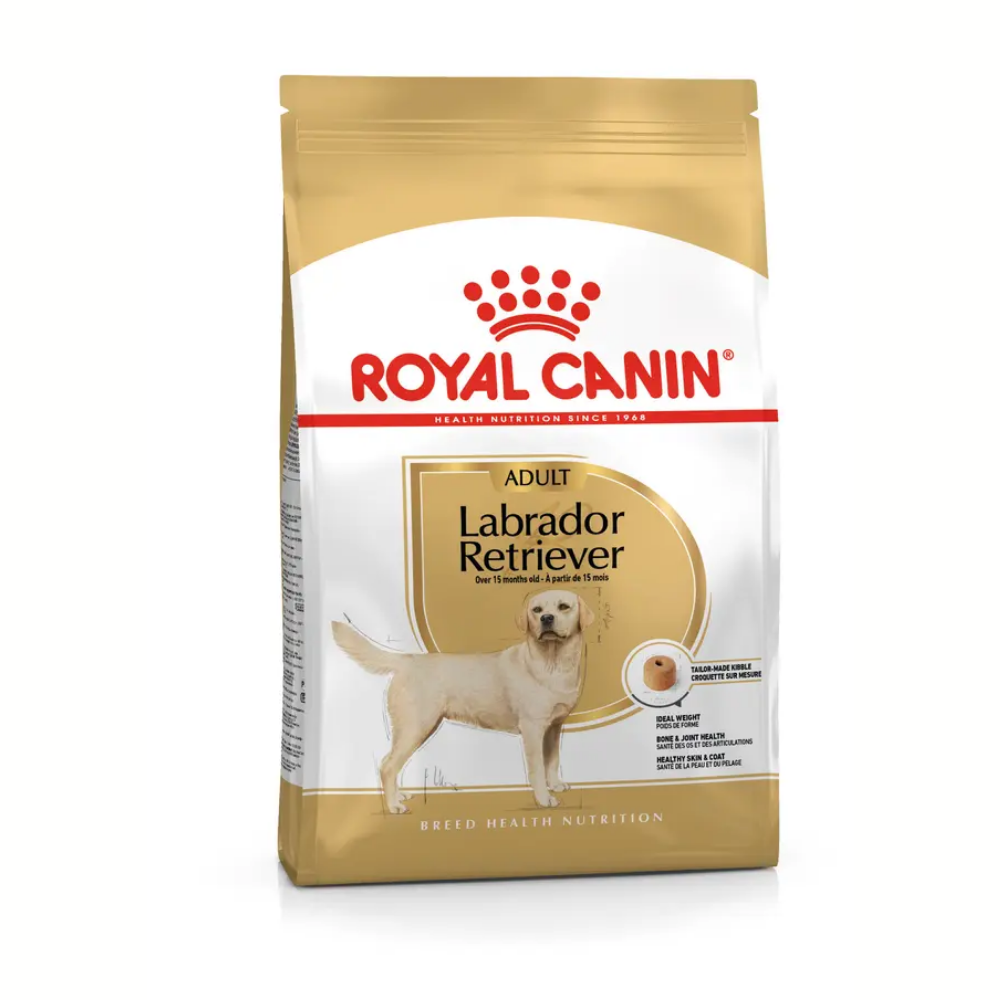 Royal Canin Labrador Pienso para Perros Adultos de Raza ROYAL CANIN Mascotas-Ávila
