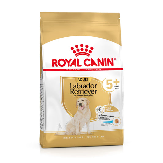 Royal Canin Labrador Retriever Ageing 5+ Pienso para Perros de Raza ROYAL CANIN Mascotas-Ávila