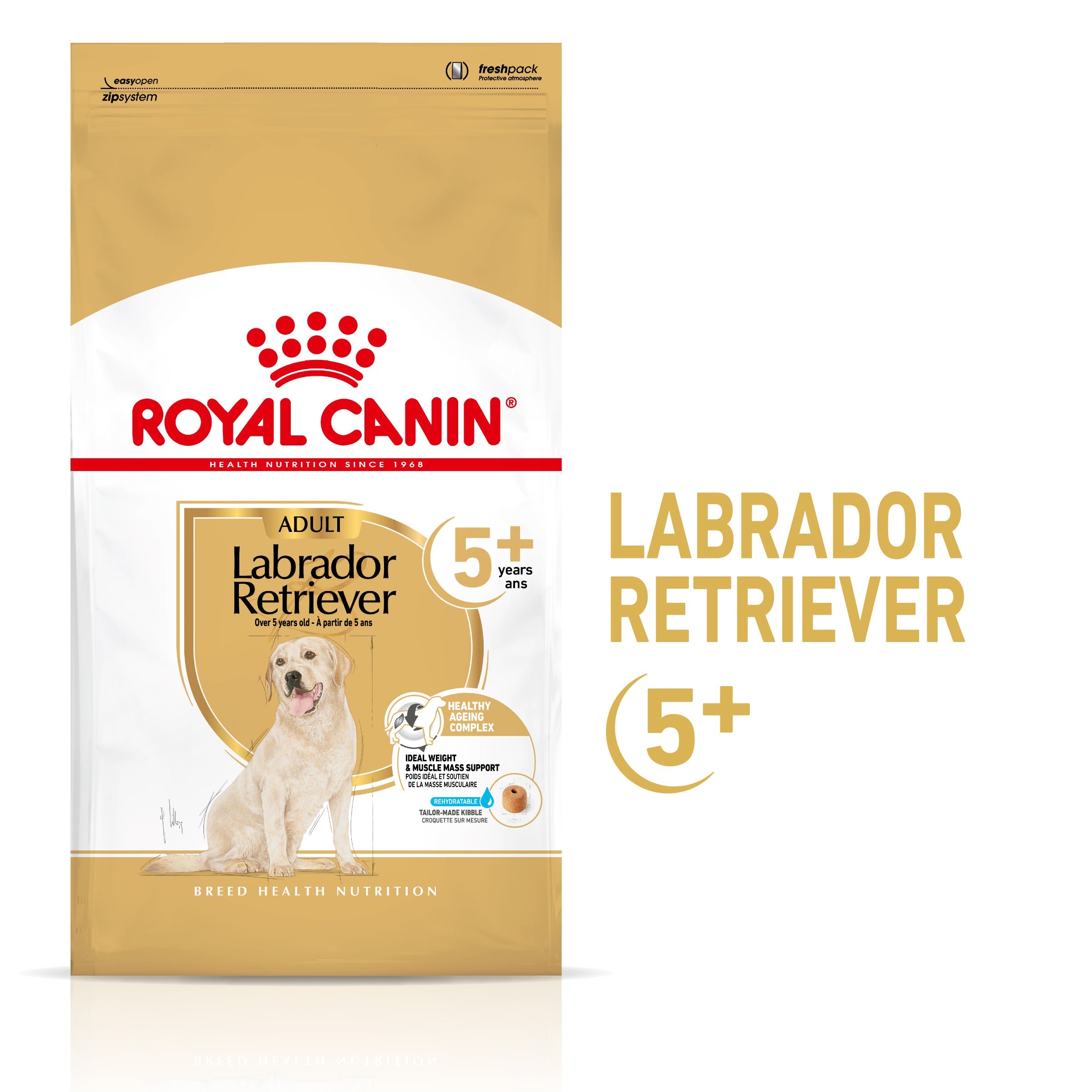 Royal Canin Labrador Retriever Ageing 5+ Pienso para Perros de Raza ROYAL CANIN Mascotas-Ávila