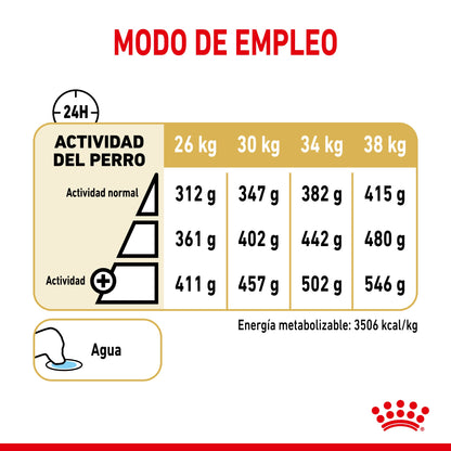 Royal Canin Labrador Retriever Ageing 5+ Pienso para Perros de Raza ROYAL CANIN Mascotas-Ávila