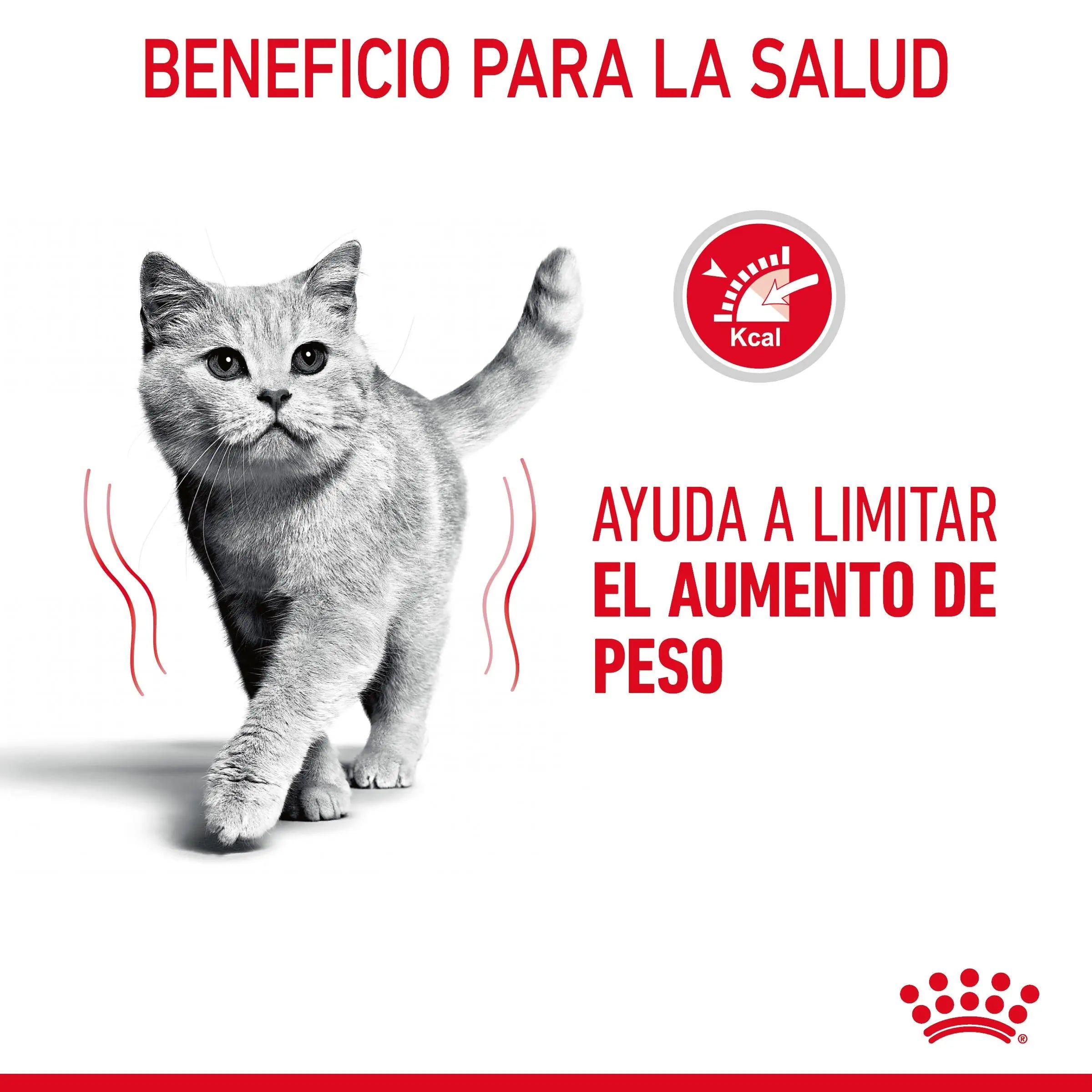 Royal Canin Light Weight Care Finas Láminas en Gelatina 85 g Húmedo para Gatos ROYAL CANIN Mascotas-Ávila