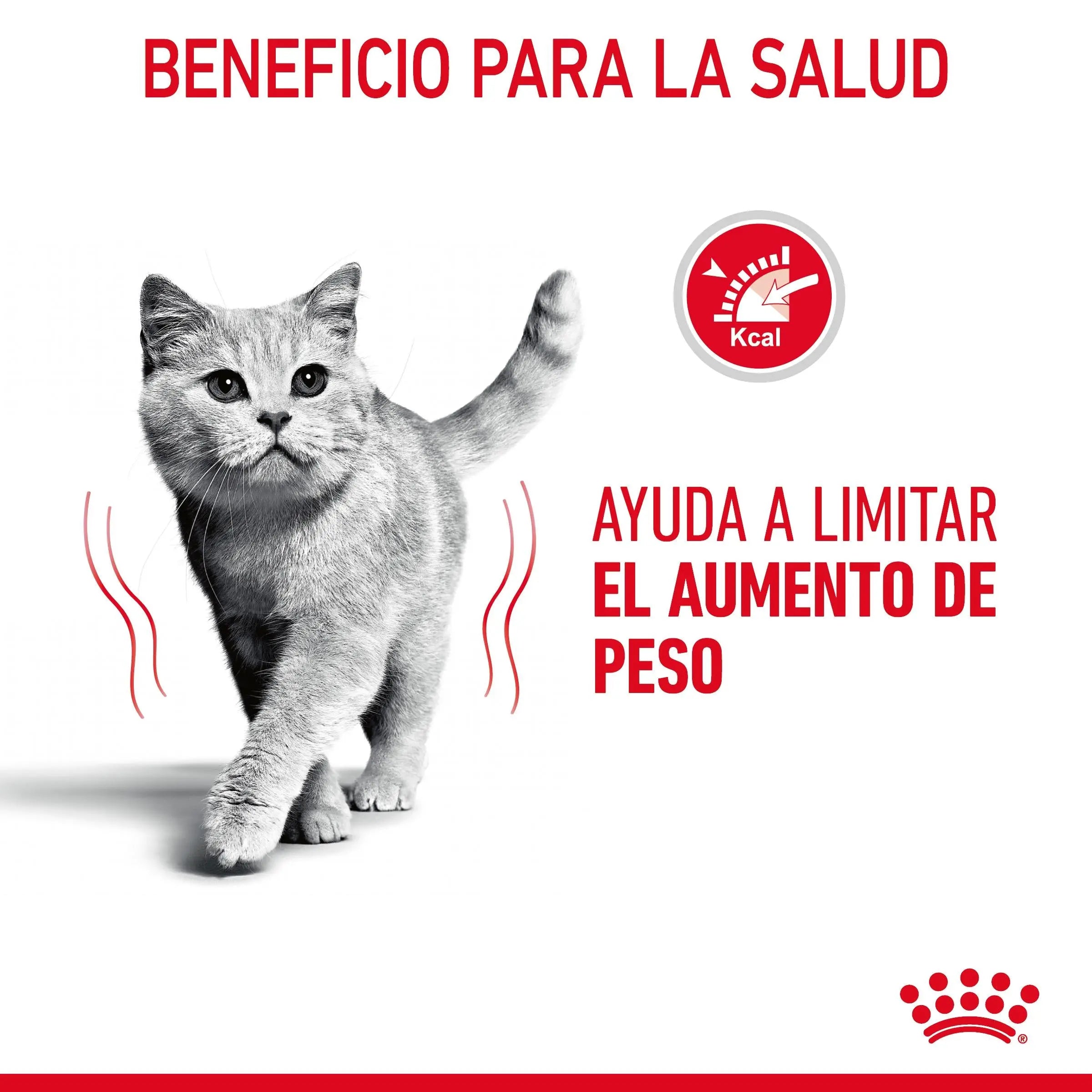 Royal Canin Light Weight Care Finas Láminas en Salsa 85 g Húmedo para Gatos ROYAL CANIN Mascotas-Ávila