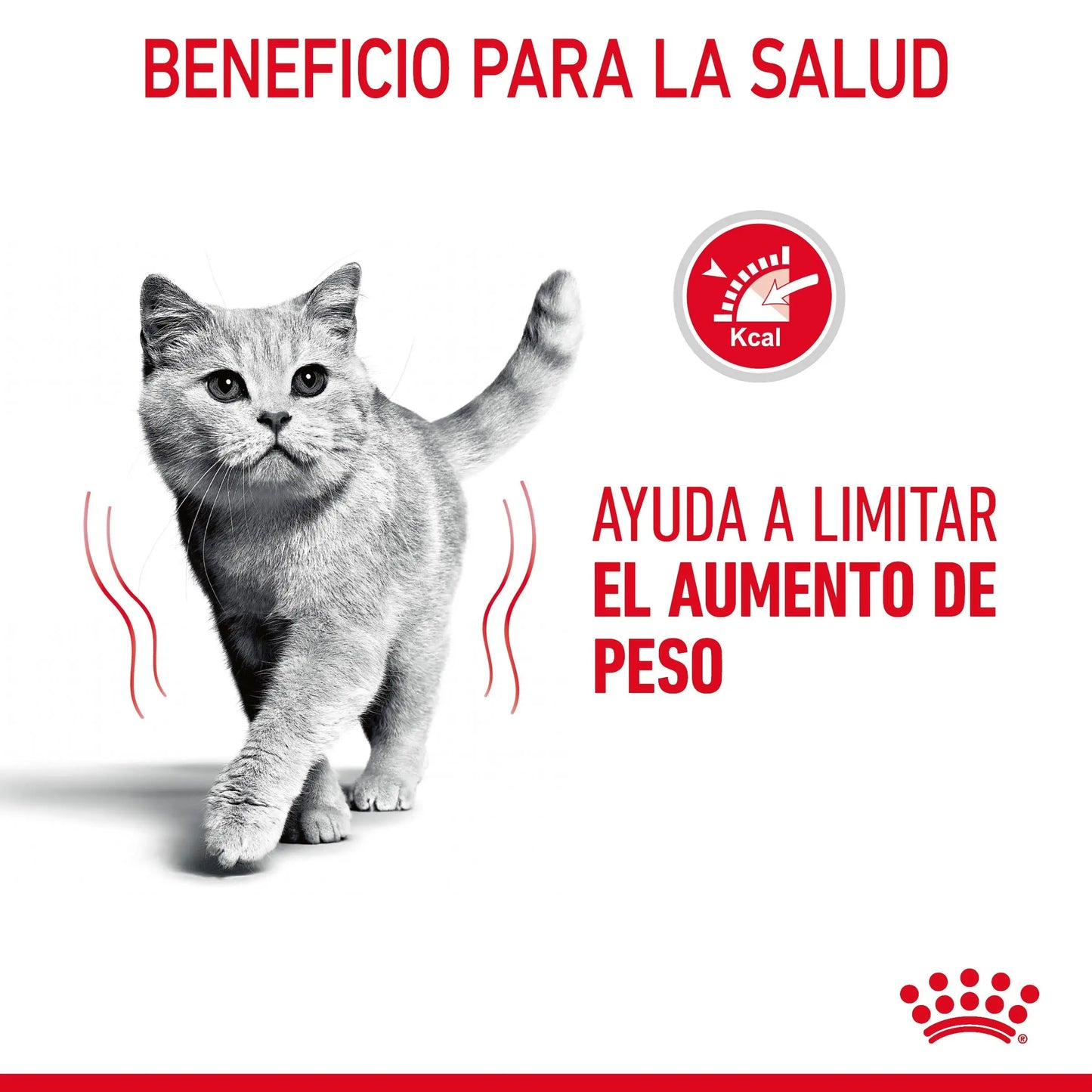 Royal Canin Light Weight Care Finas Láminas en Salsa 85 g Húmedo para Gatos ROYAL CANIN Mascotas-Ávila