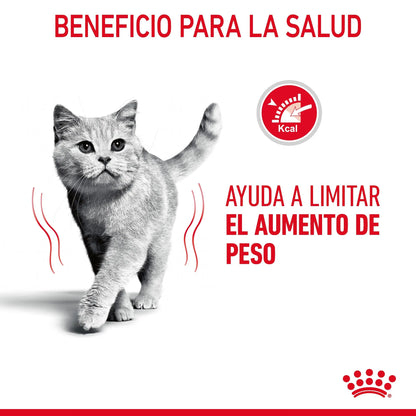 Royal Canin Light Weight Care Finas Láminas en Salsa 85 g Húmedo para Gatos ROYAL CANIN Mascotas-Ávila