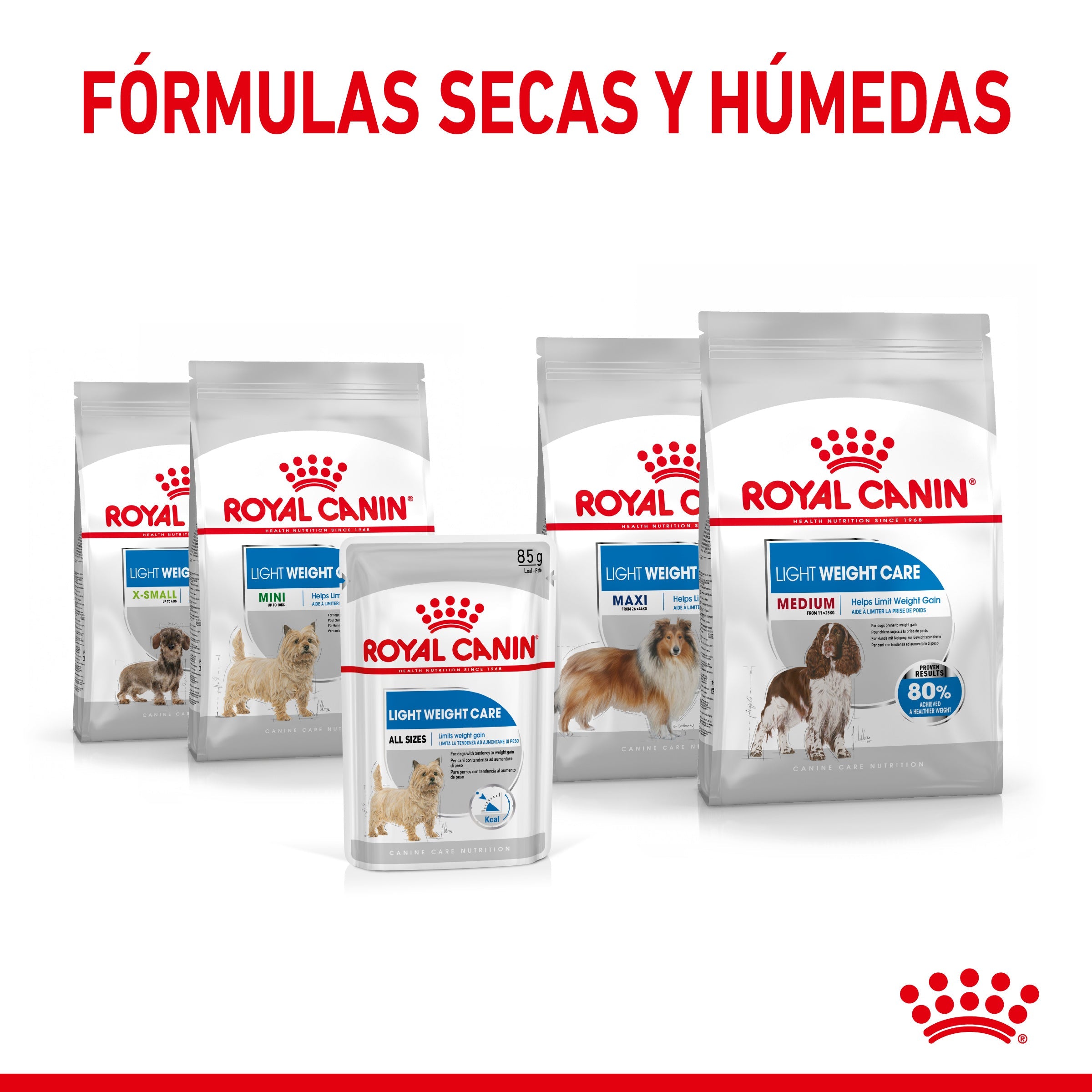 Royal Canin Light Weight Care Paté 85 g Comida Húmeda para Perros ROYAL CANIN Mascotas-Ávila