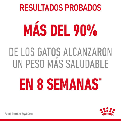Royal Canin Light Weight Care Pienso para Gatos ROYAL CANIN Mascotas-Ávila