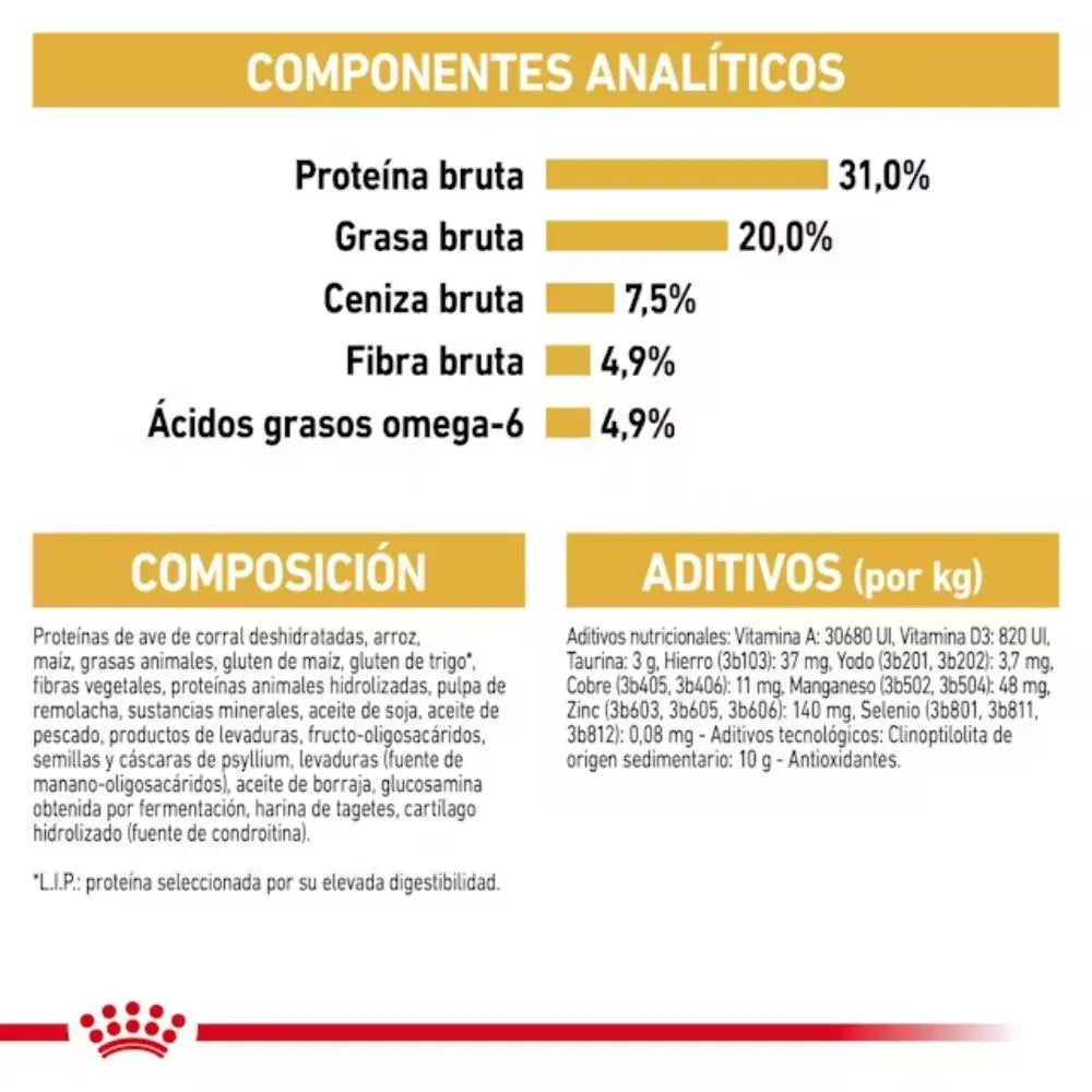 Royal Canin Maine Coon 31 Pienso para Gatos Adultos ROYAL CANIN Mascotas-Ávila