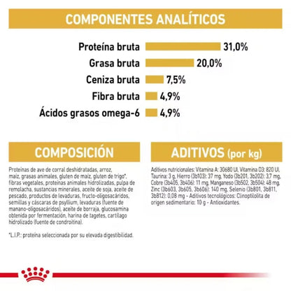 Royal Canin Maine Coon 31 Pienso para Gatos Adultos ROYAL CANIN Mascotas-Ávila