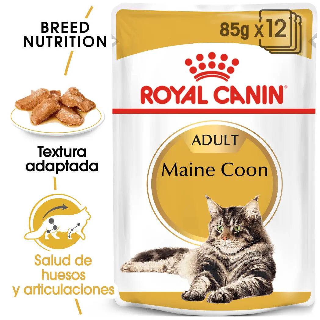 Royal Canin Maine Coon Wet 85 g Paté Húmedo para Gatos ROYAL CANIN Mascotas-Ávila