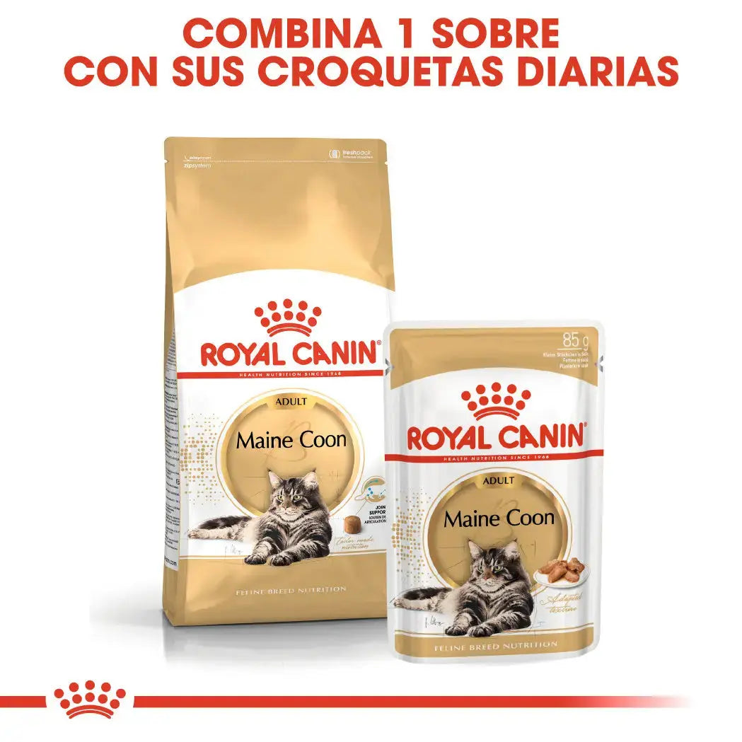 Royal Canin Maine Coon 31 Pienso para Gatos Adultos ROYAL CANIN Mascotas-Ávila