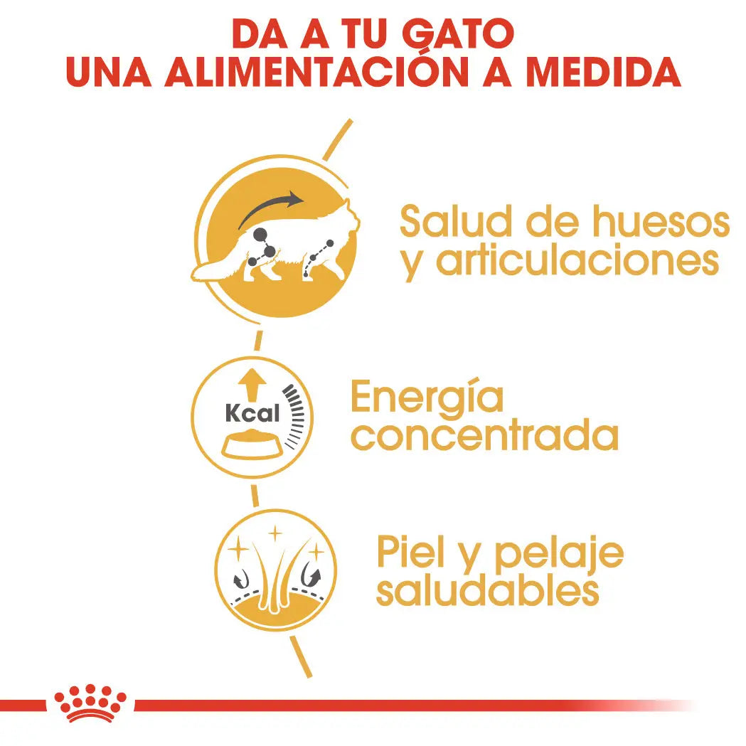 Royal Canin Maine Coon Wet 85 g Paté Húmedo para Gatos ROYAL CANIN Mascotas-Ávila