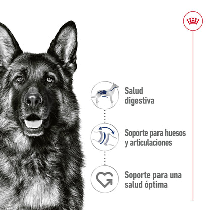 Royal Canin Maxi Adult Lata 410 g Paté Húmedo para Perros ROYAL CANIN Mascotas-Ávila