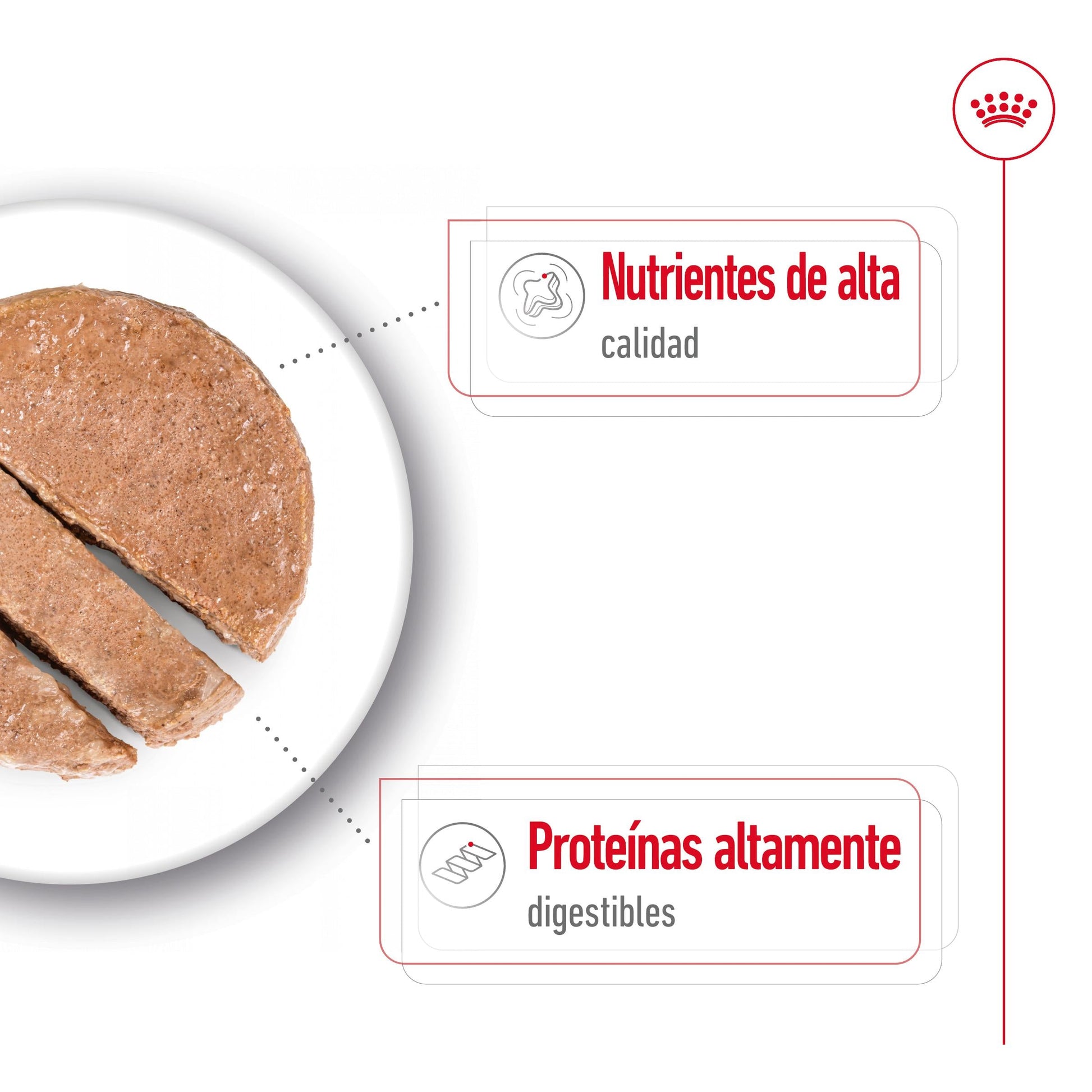 Royal Canin Maxi Adult Lata 410 g Paté Húmedo para Perros ROYAL CANIN Mascotas-Ávila