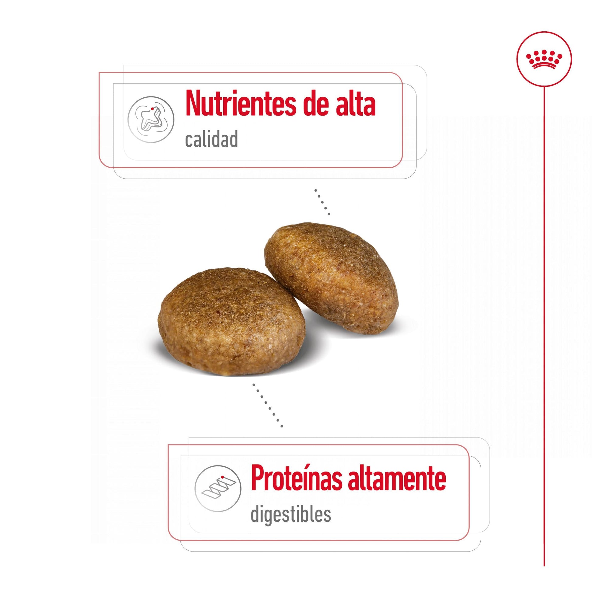Royal Canin Maxi Adult Pienso para Perros ROYAL CANIN Mascotas-Ávila