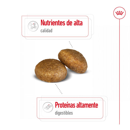 Royal Canin Maxi Adult Pienso para Perros ROYAL CANIN Mascotas-Ávila