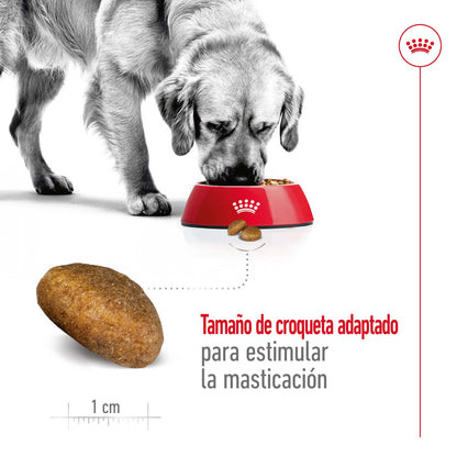 Royal Canin Maxi Adult Pienso para Perros ROYAL CANIN Mascotas-Ávila