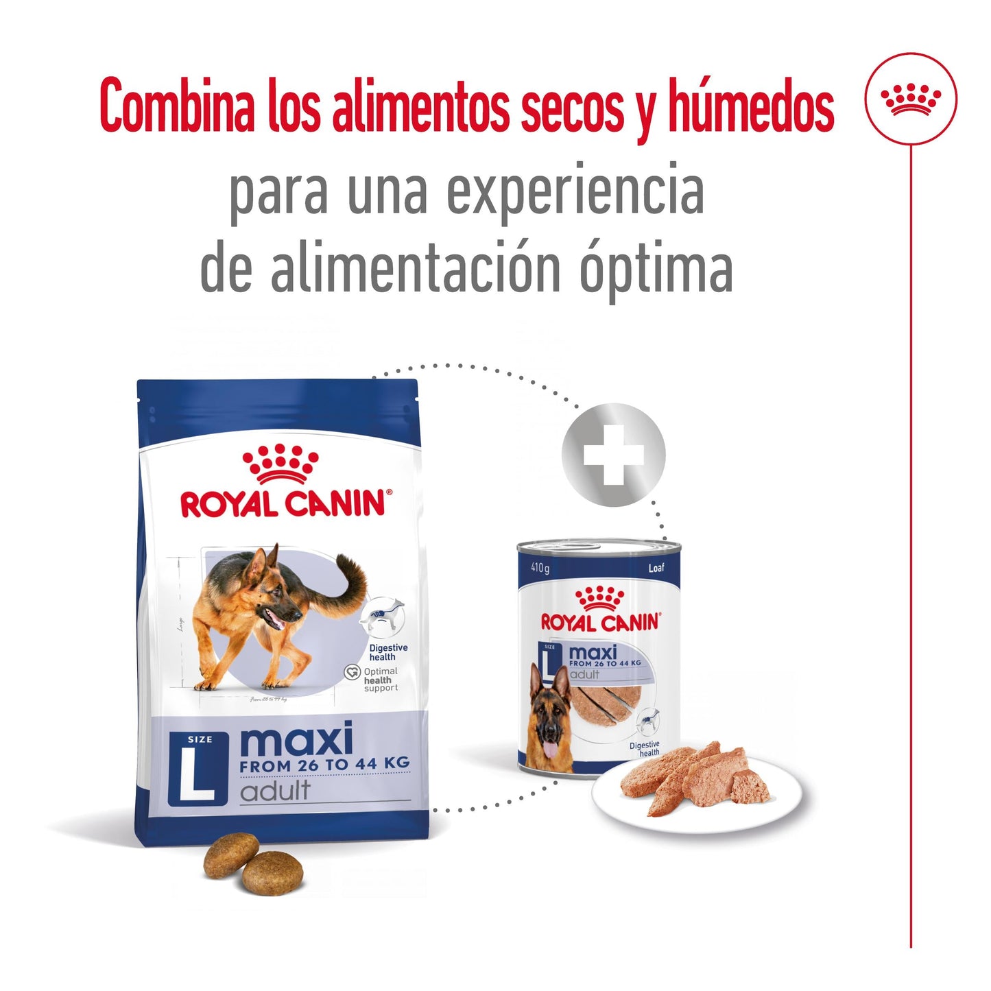 Royal Canin Maxi Adult Pienso para Perros ROYAL CANIN Mascotas-Ávila