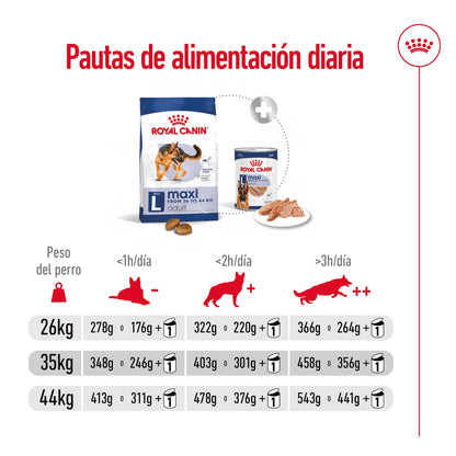 Royal Canin Maxi Adult Pienso para Perros ROYAL CANIN Mascotas-Ávila