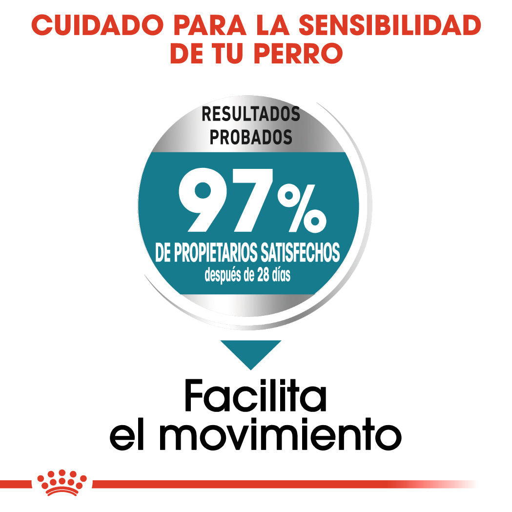 Royal Canin Maxi Joint Care Pienso para Perros ROYAL CANIN Mascotas-Ávila