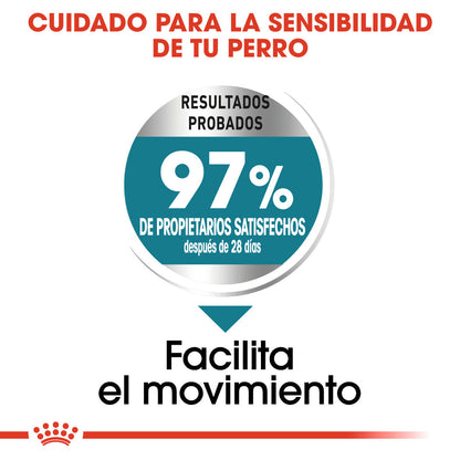 Royal Canin Maxi Joint Care Pienso para Perros ROYAL CANIN Mascotas-Ávila