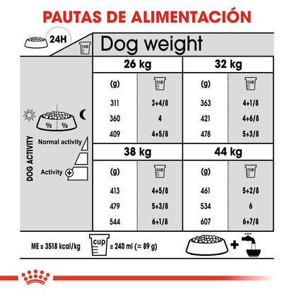 Royal Canin Maxi Joint Care Pienso para Perros ROYAL CANIN Mascotas-Ávila