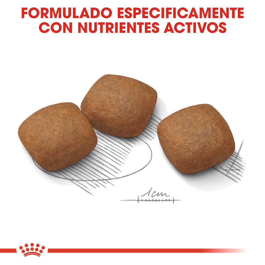 Royal Canin Maxi Joint Care Pienso para Perros ROYAL CANIN Mascotas-Ávila
