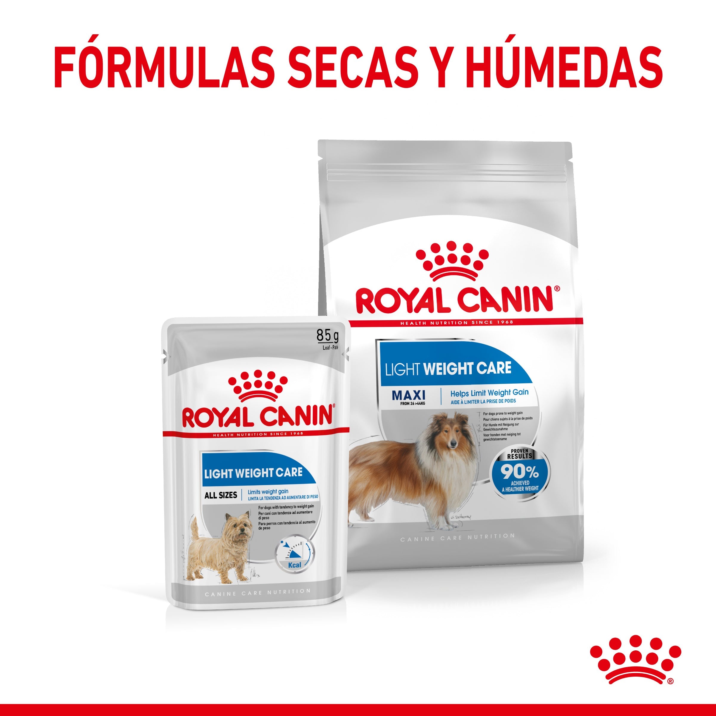 Royal Canin Maxi Light Weight Care Pienso para Perros ROYAL CANIN Mascotas-Ávila