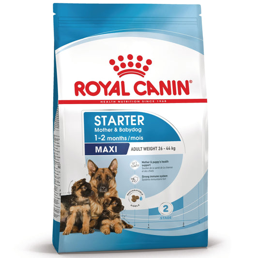 Royal Canin Maxi Starter Mother & Babydog Pienso para Cachorros y Madres Lactantes ROYAL CANIN Mascotas-Ávila