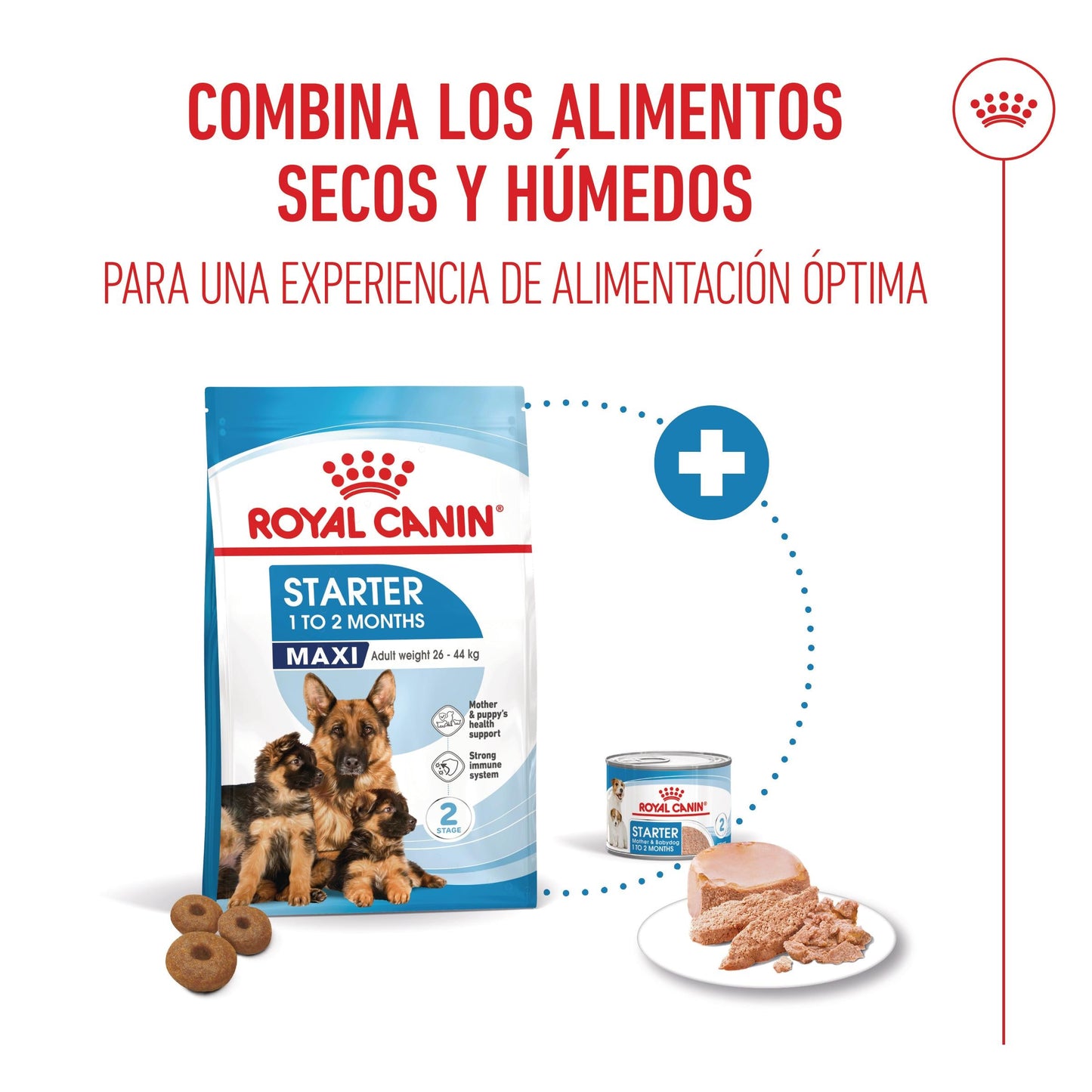 Royal Canin Maxi Starter Mother & Babydog Pienso para Cachorros y Madres Lactantes ROYAL CANIN Mascotas-Ávila