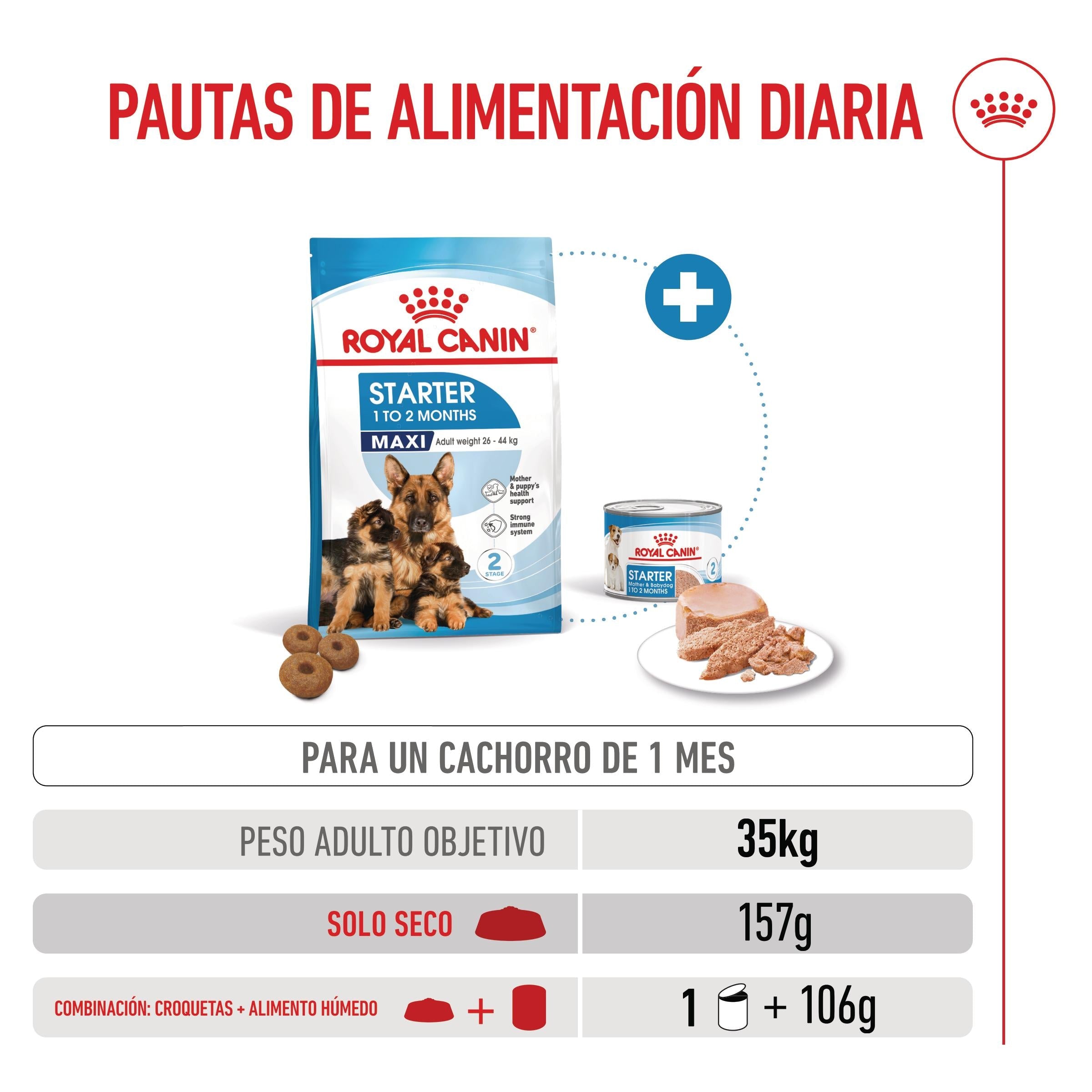 Royal Canin Maxi Starter Mother & Babydog Pienso para Cachorros y Madres Lactantes ROYAL CANIN Mascotas-Ávila