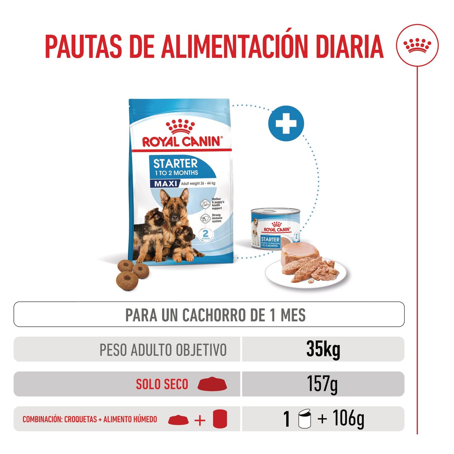 Royal Canin Maxi Starter Mother & Babydog Pienso para Cachorros y Madres Lactantes ROYAL CANIN Mascotas-Ávila
