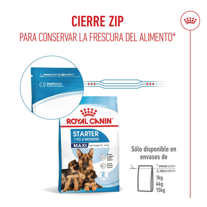Royal Canin Maxi Starter Mother & Babydog Pienso para Cachorros y Madres Lactantes ROYAL CANIN Mascotas-Ávila