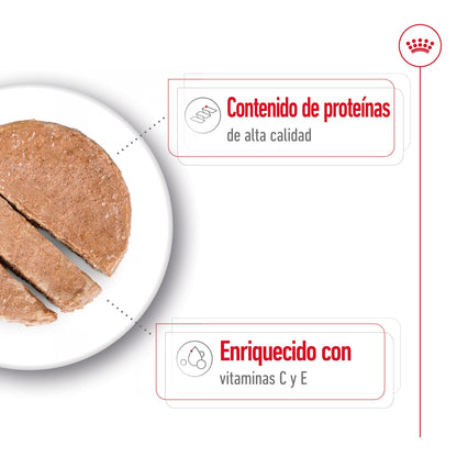 Royal Canin Medium Adult 410 g lata perro húmedo ROYAL CANIN Mascotas-Ávila