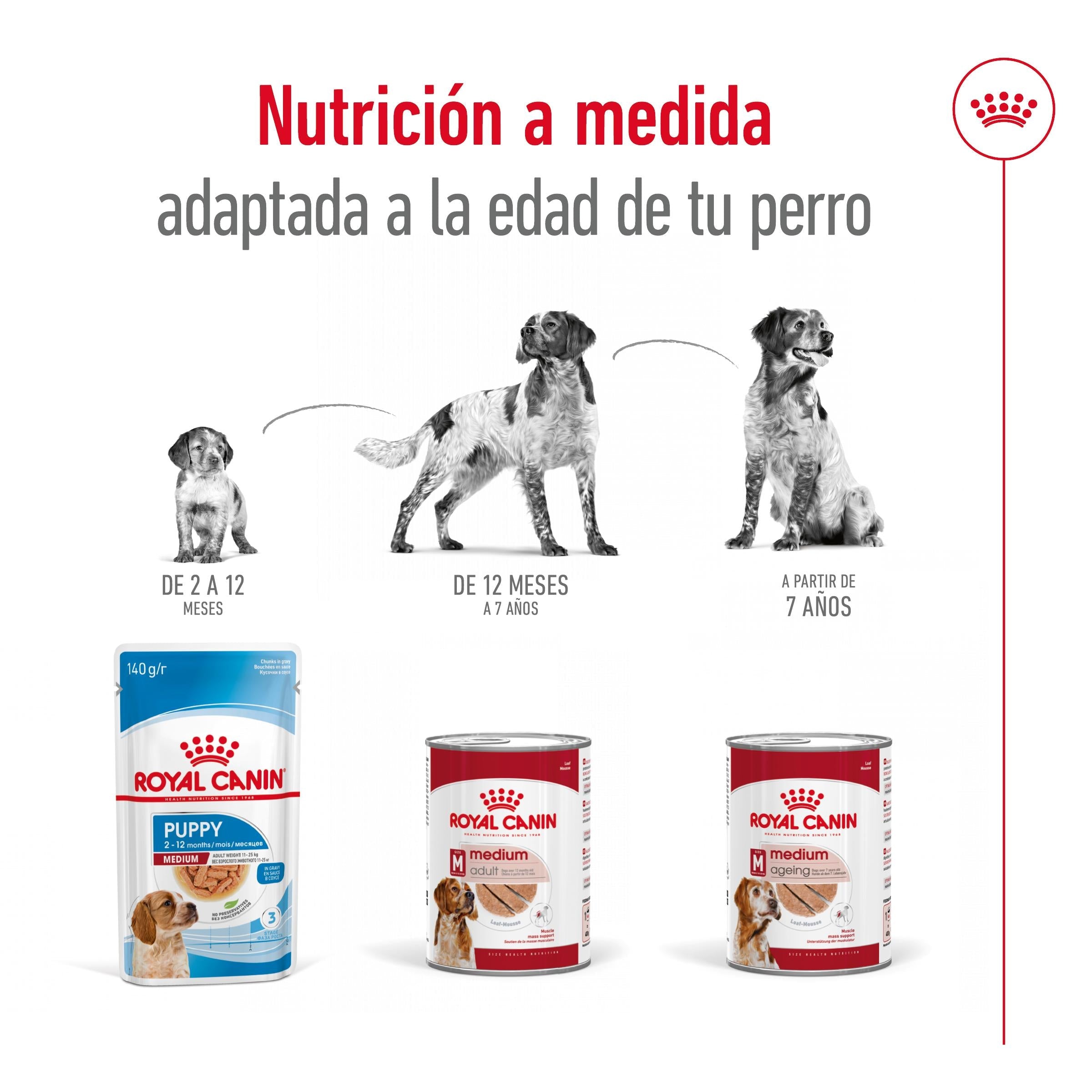 Royal Canin Medium Adult 410 g lata perro húmedo ROYAL CANIN Mascotas-Ávila