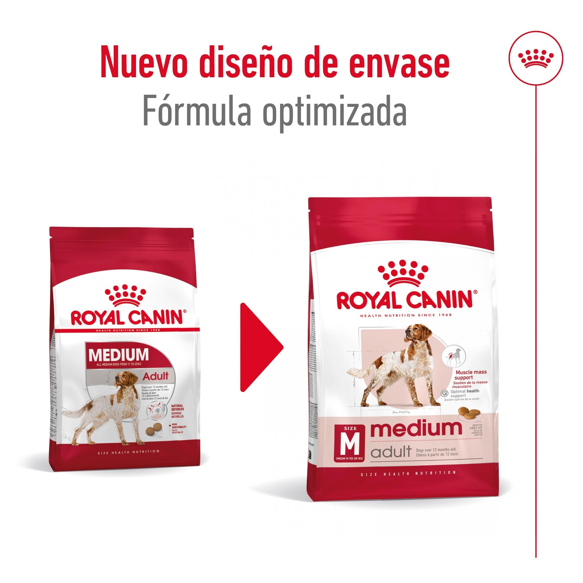 Royal Canin Medium Adult Pienso para Perros ROYAL CANIN Mascotas-Ávila
