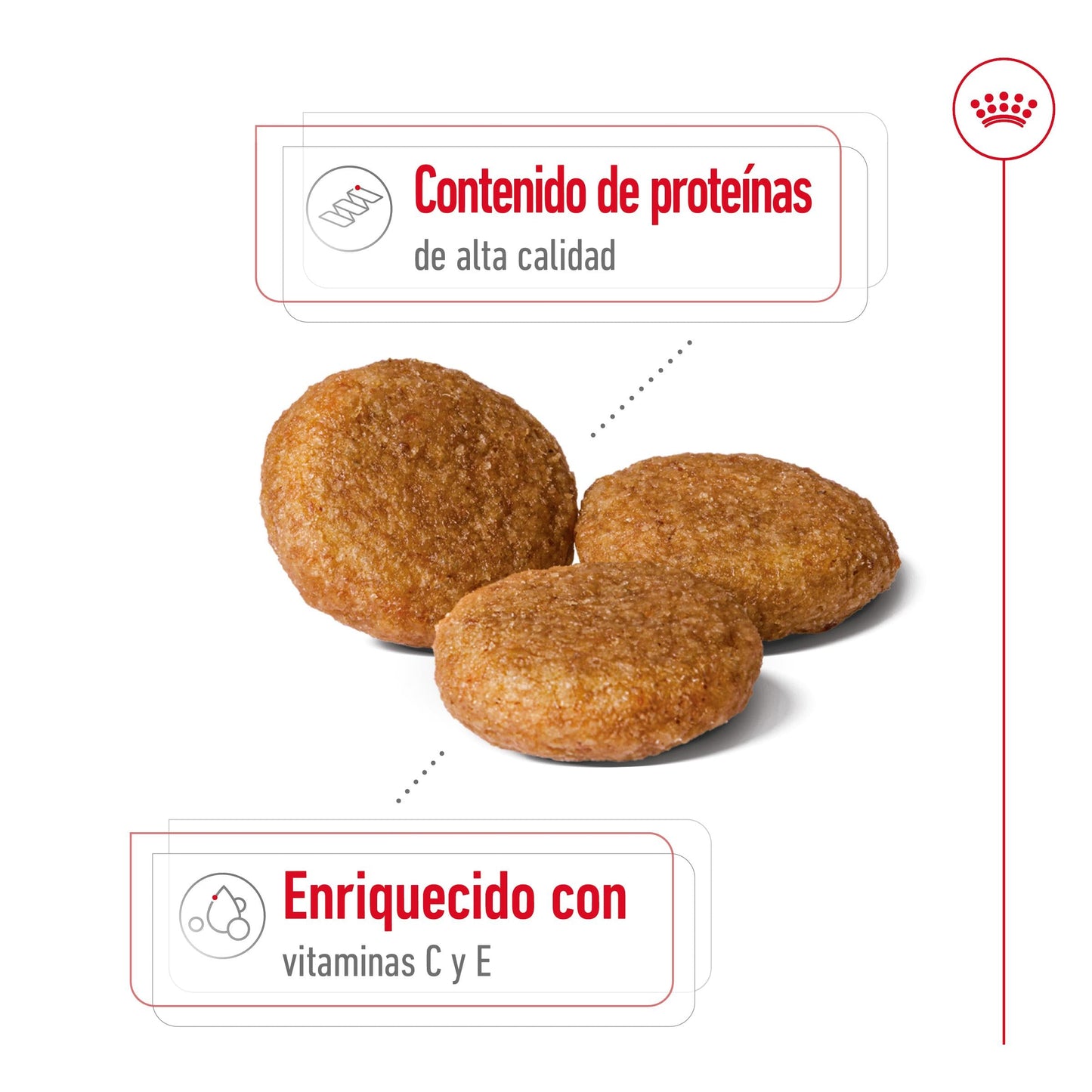 Royal Canin Medium Adult Pienso para Perros ROYAL CANIN Mascotas-Ávila
