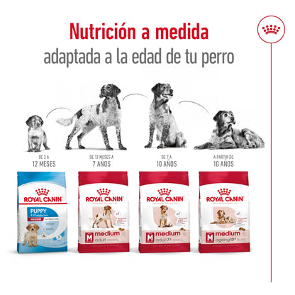 Royal Canin Medium Adult Pienso para Perros ROYAL CANIN Mascotas-Ávila