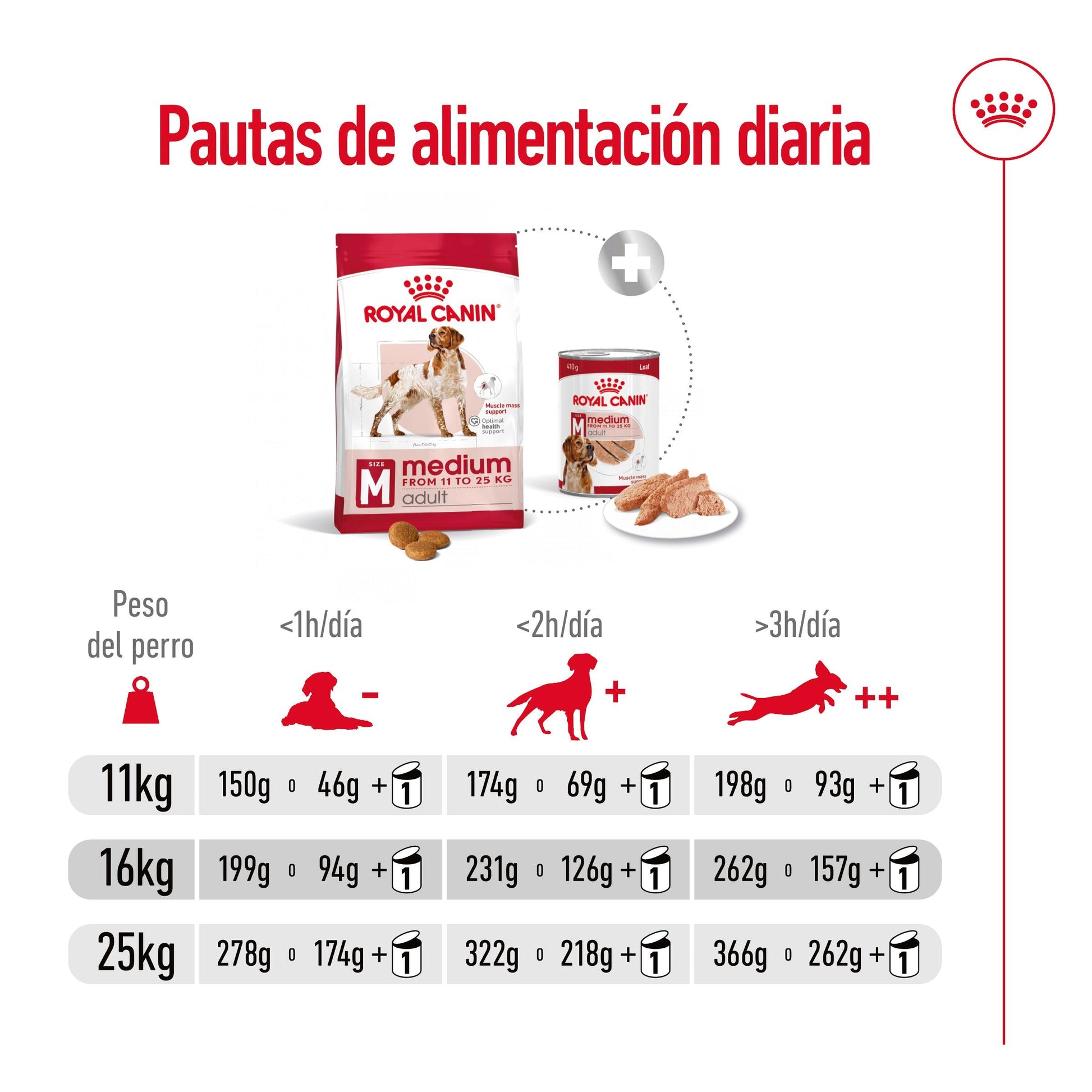 Royal Canin Medium Adult Pienso para Perros ROYAL CANIN Mascotas-Ávila