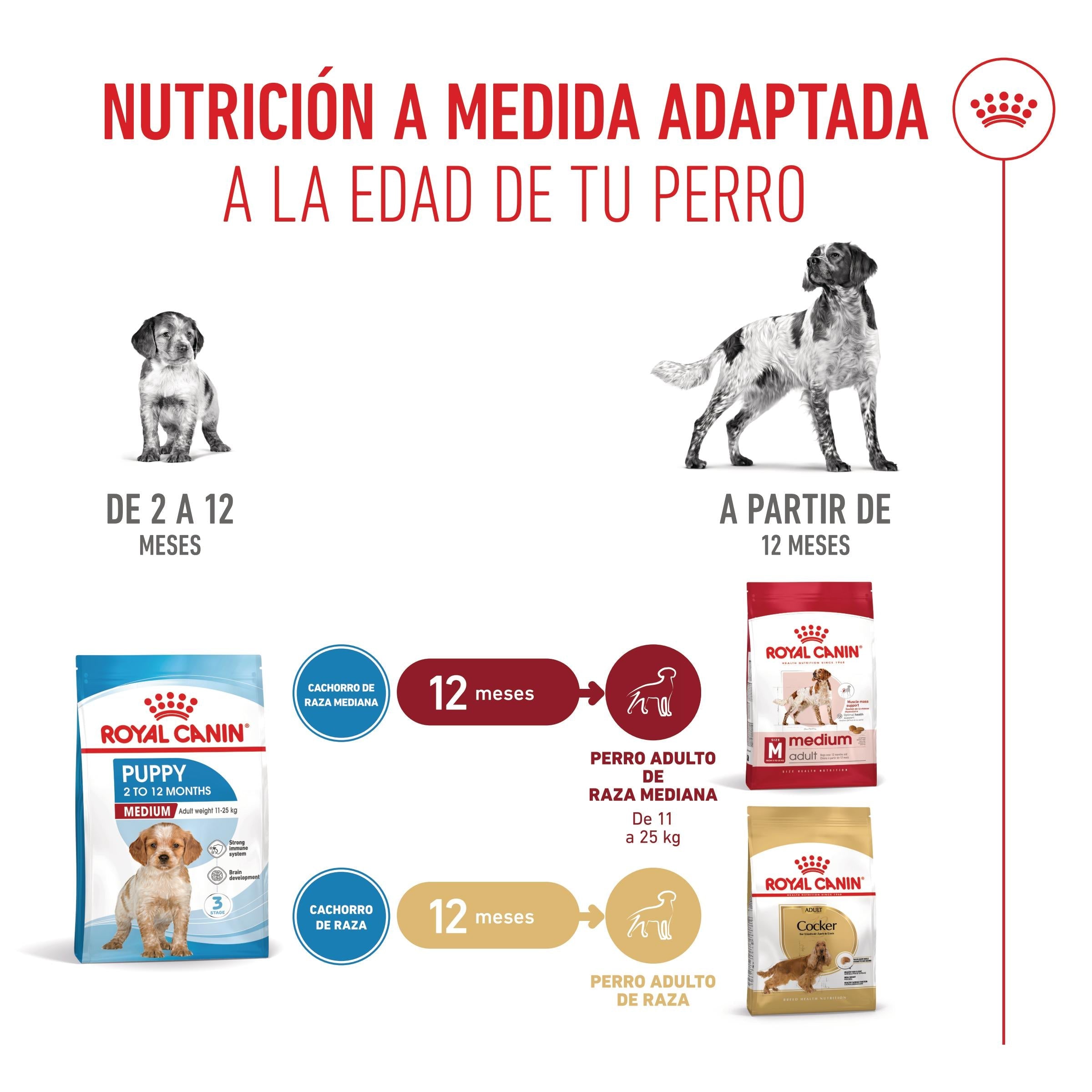 Royal Canin Medium Puppy Pienso para Cachorros ROYAL CANIN Mascotas-Ávila